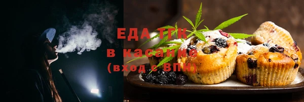 ECSTASY Бородино