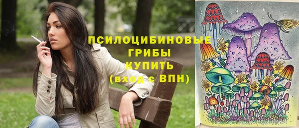 шишки Богородск