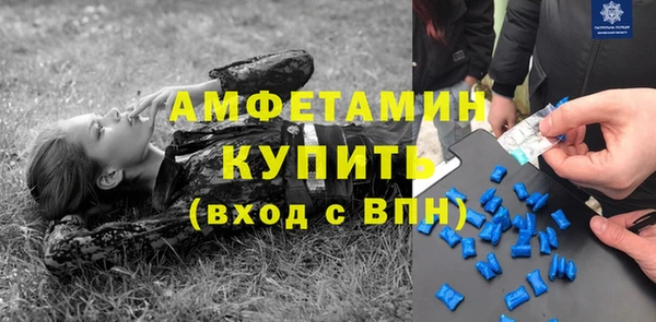 шишки Богородск
