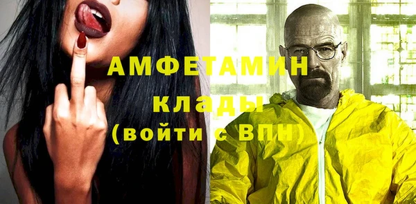 шишки Богородск