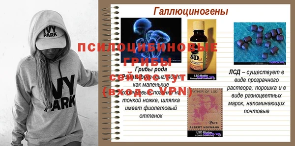ECSTASY Бородино