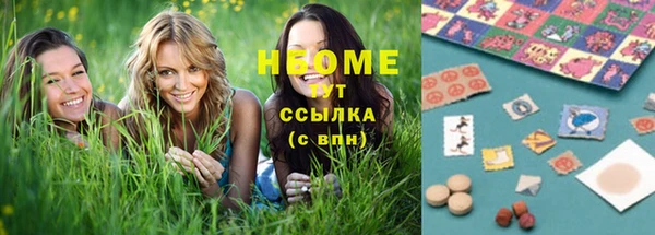 ECSTASY Бородино